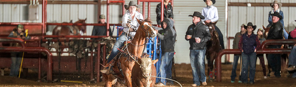 Cactus Ropes Tie Down Breakaway Goats