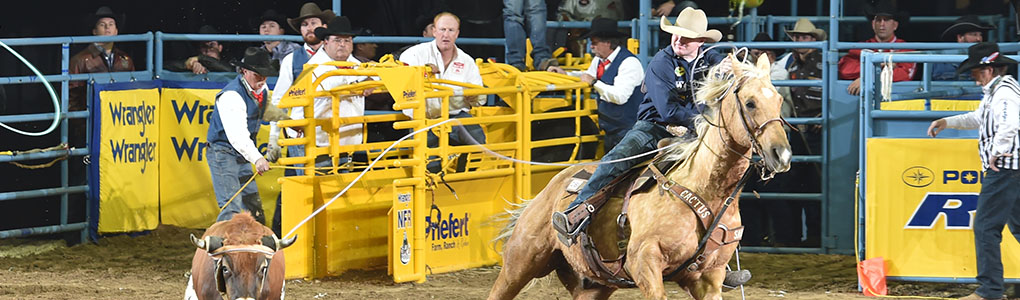 Cactus Ropes | Team Ropes