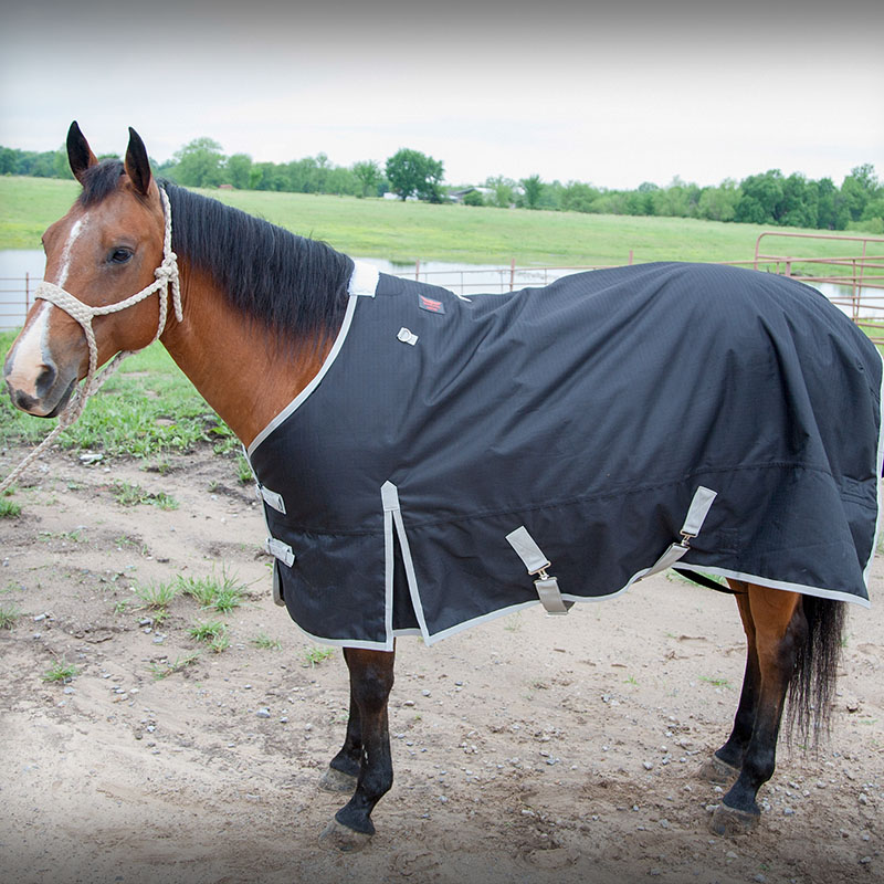 Cactus Ropes | Relentless Turn-Out Blankets